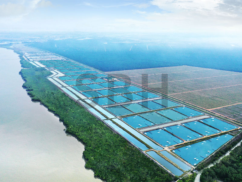 Aquaculture Shrimp Farms – SBH Marine Holdings Berhad